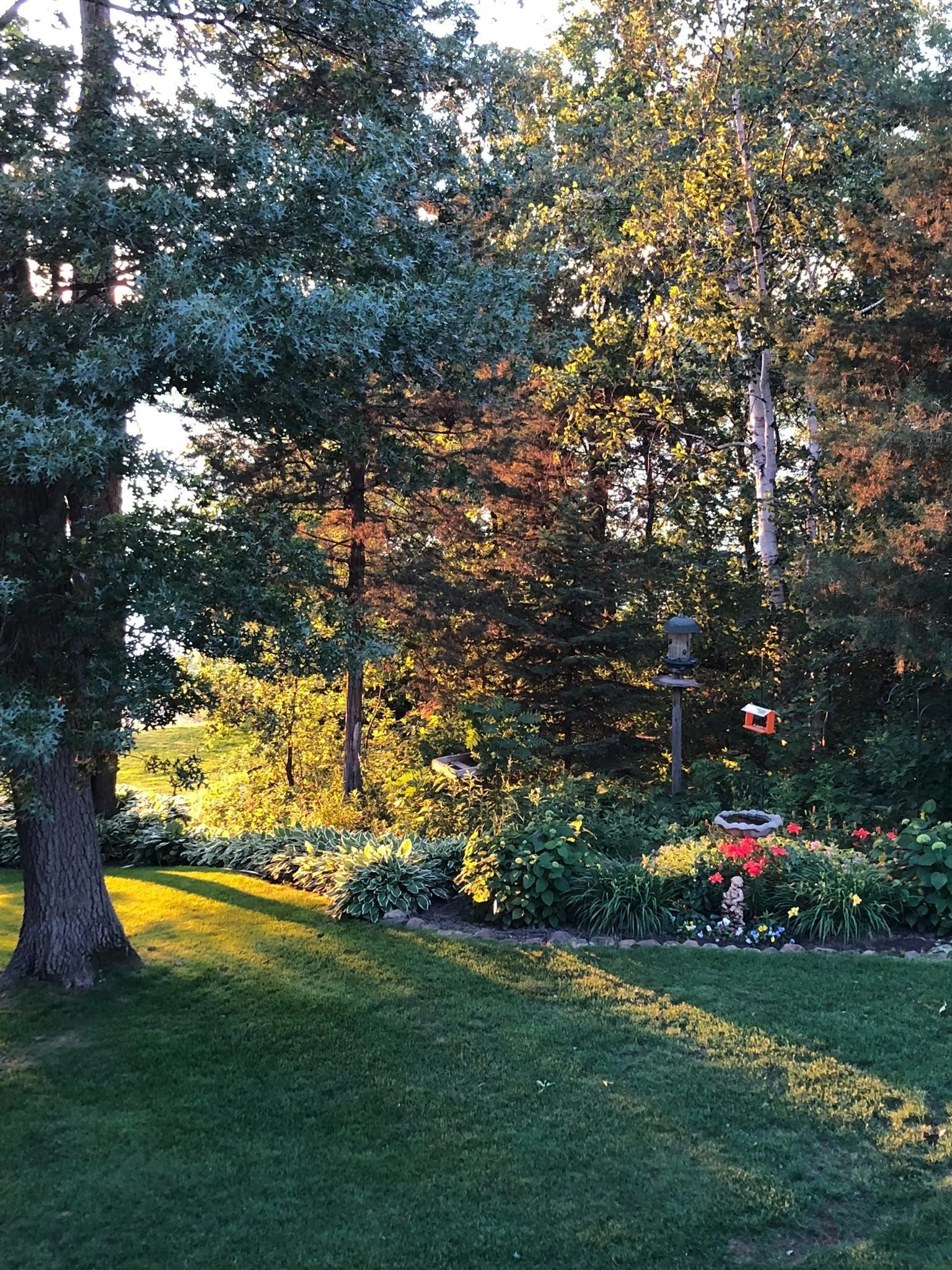 Summertime Photo