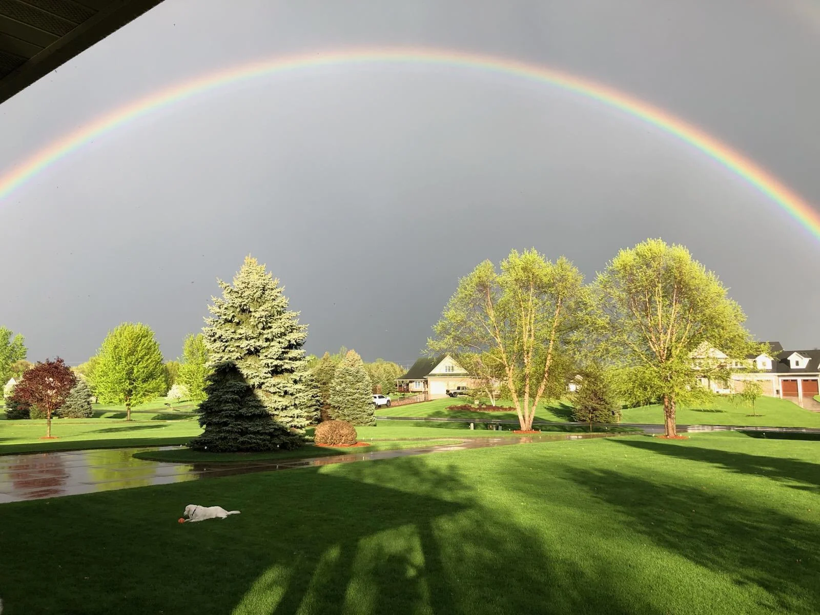 Rainbow at Firefly.jpg