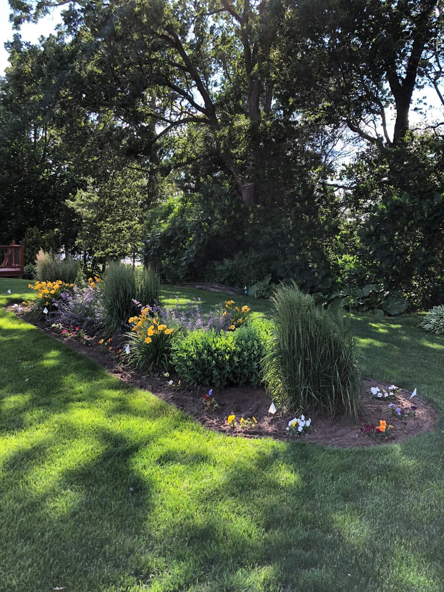 Summertime Photo