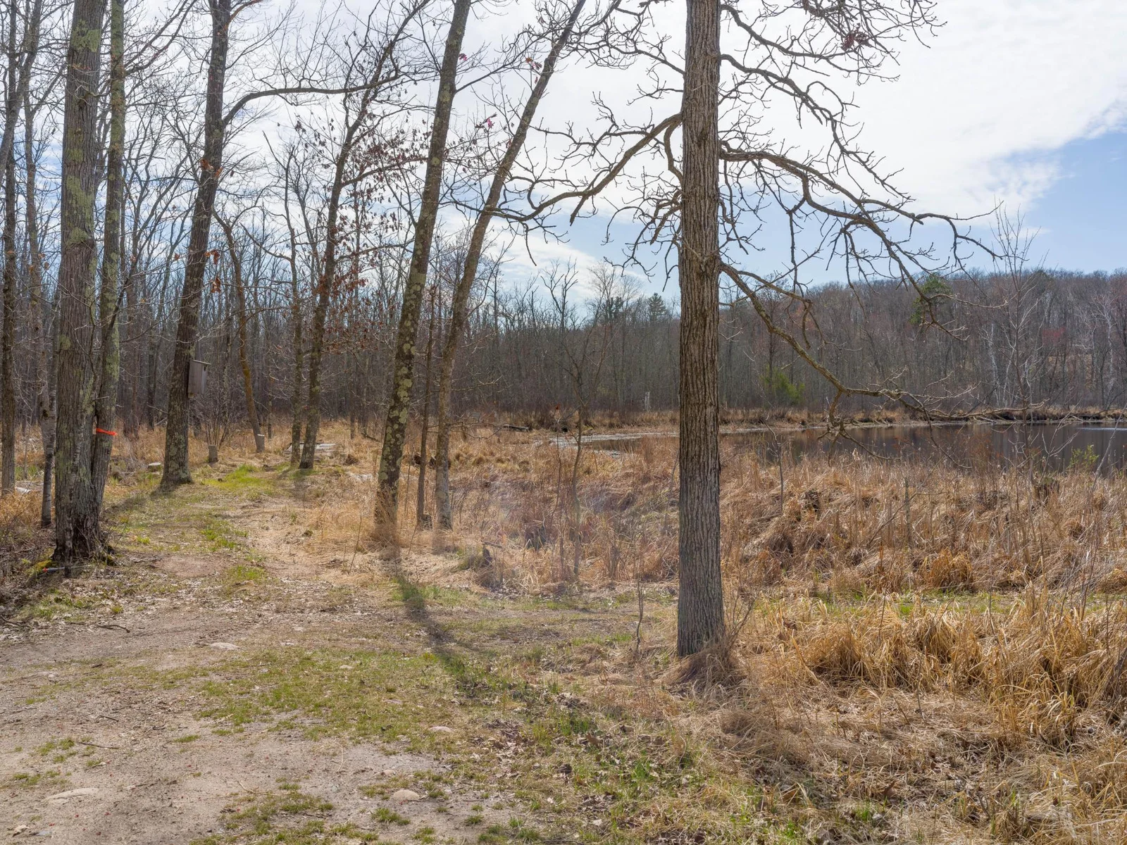 View looking towards the southern shoreline of Long Lake and the state land and access to the snowmobile trail.