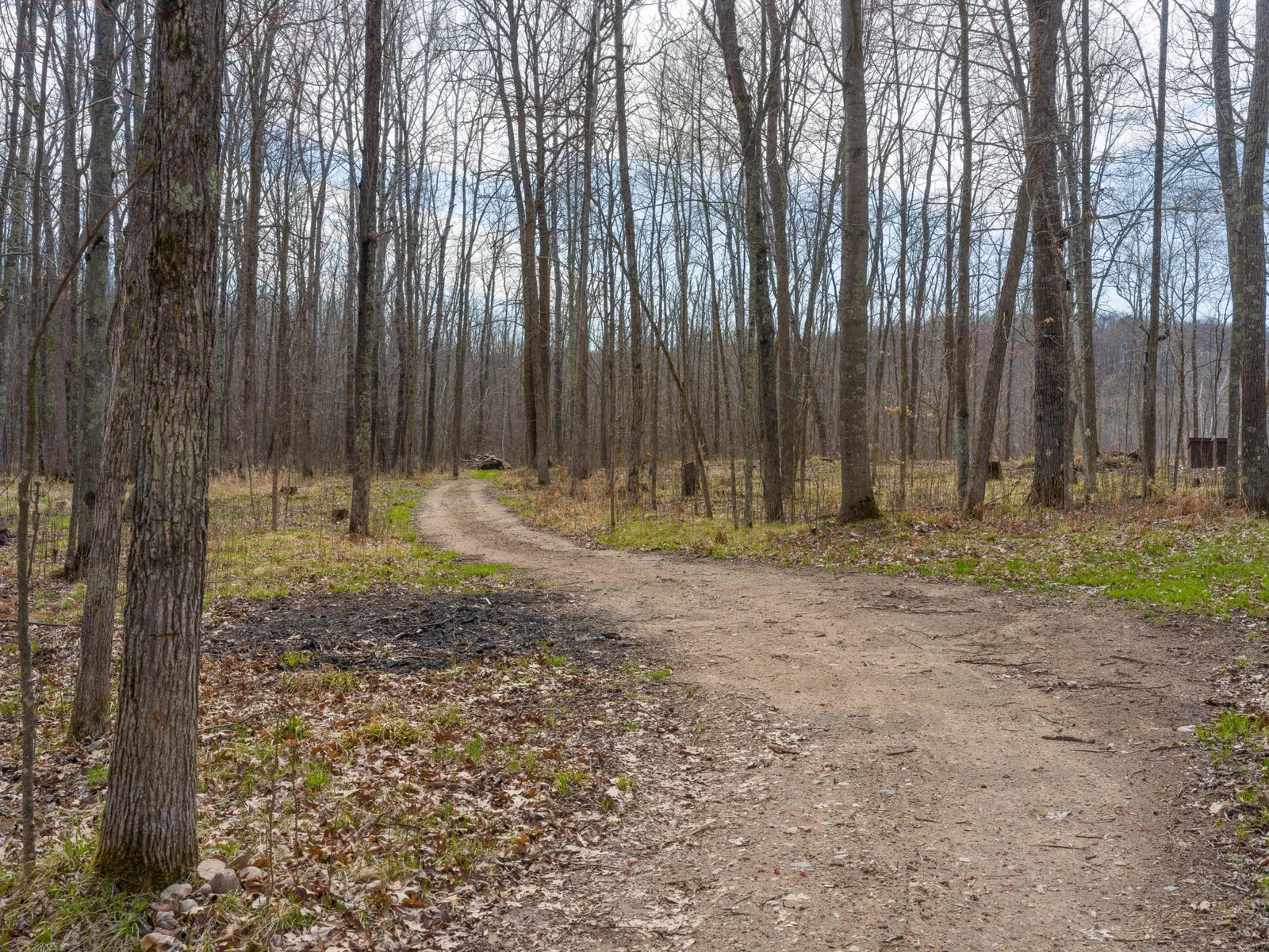 Many walking trails throughout the woods.