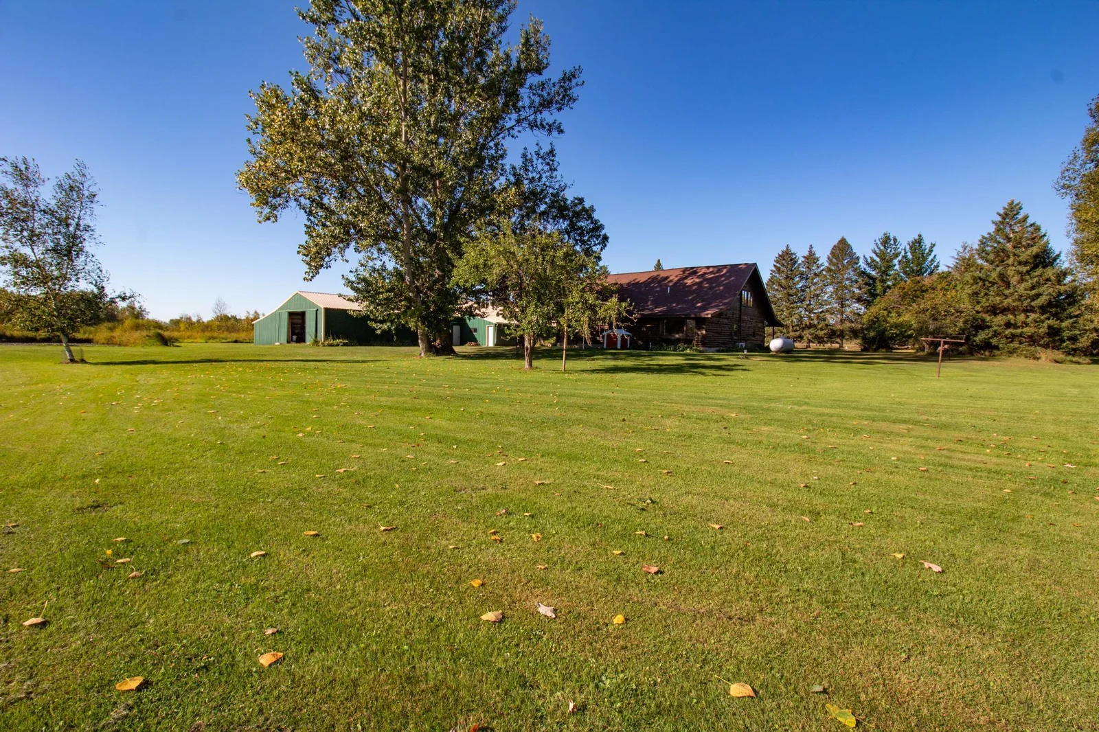 11 Back yard 4.jpg