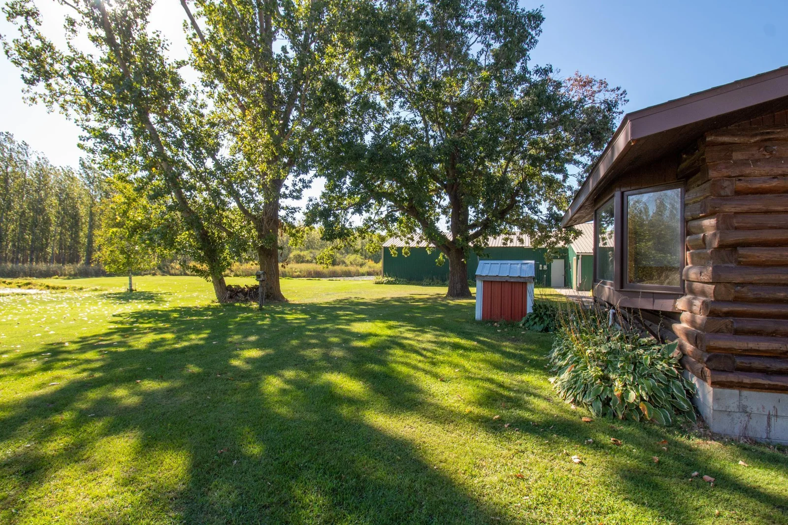 8 Back yard.jpg
