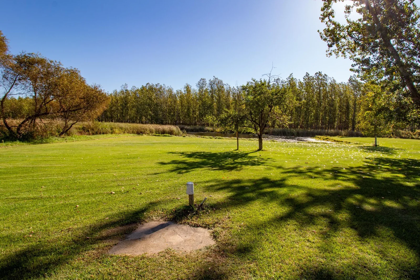 9 Back yard 2.jpg