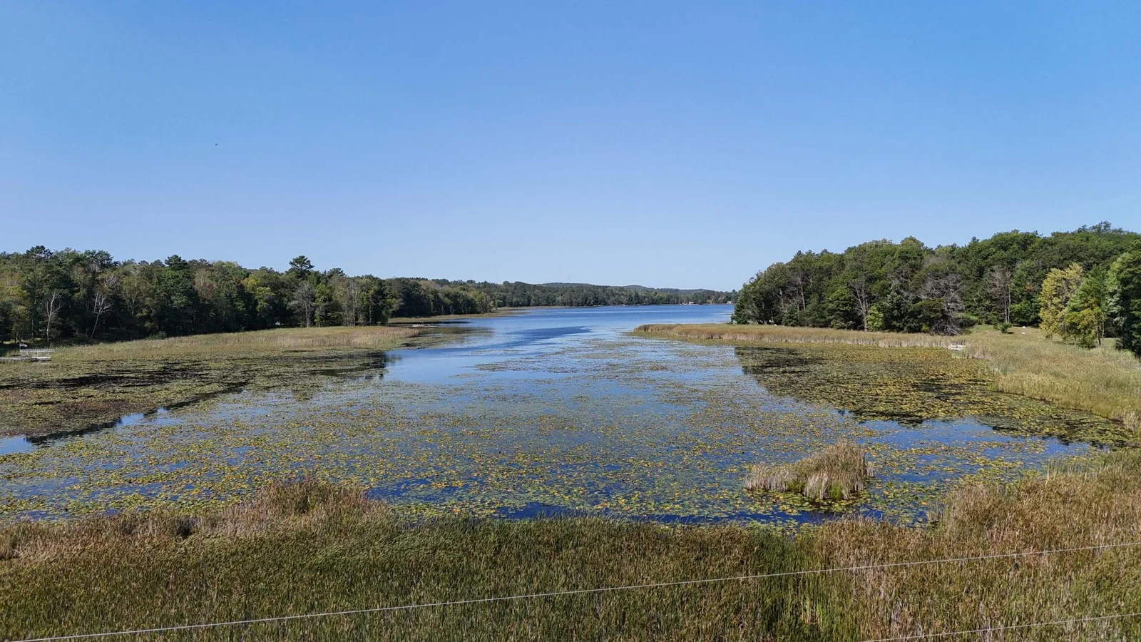Views of Little Bass lake.