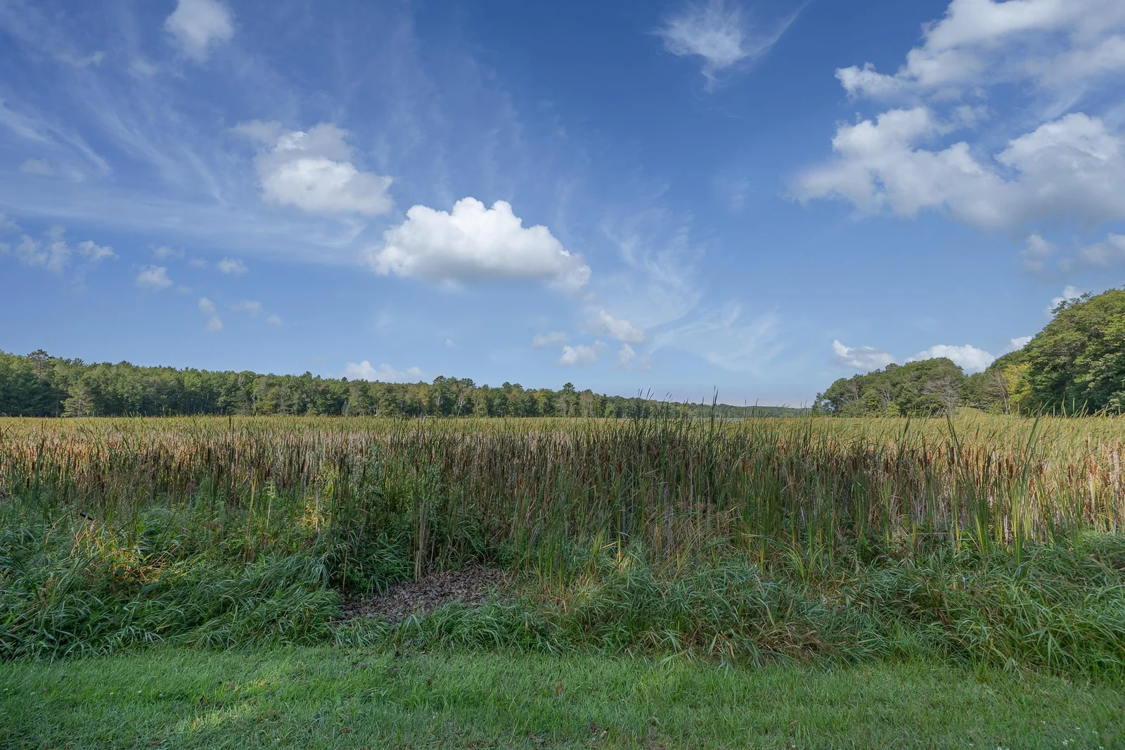 Access to Little Bass lake.