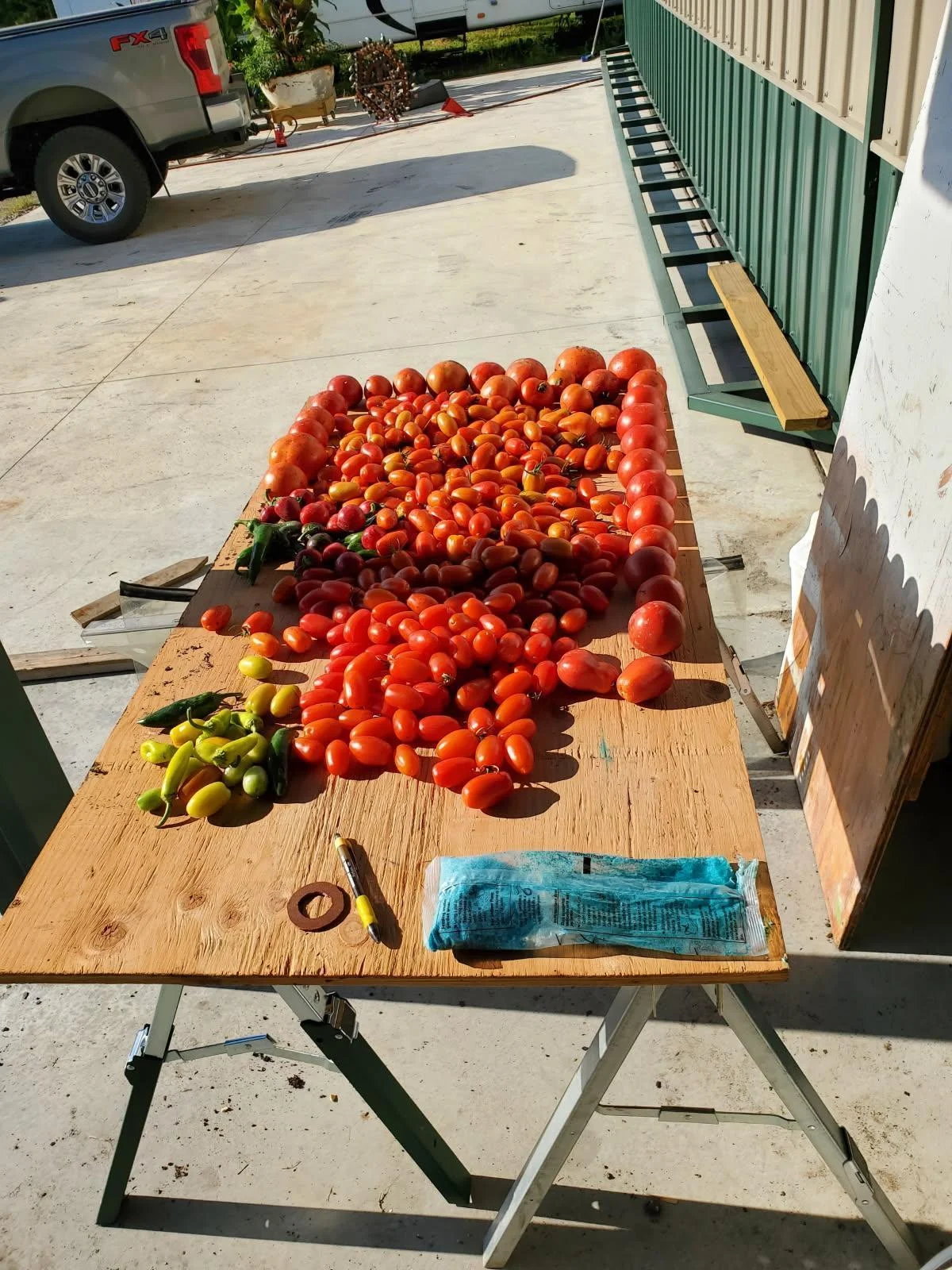 Bounty from the garden