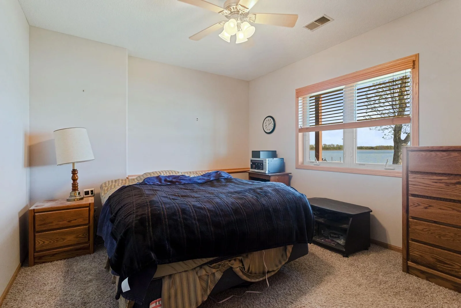 2nd bedroom (lower level)