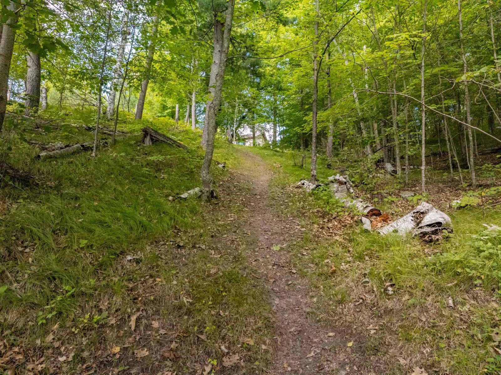 Thumbnail photo 60