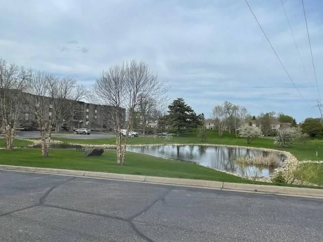 enjoy the calm and occasional wildlife of the front yard pond.