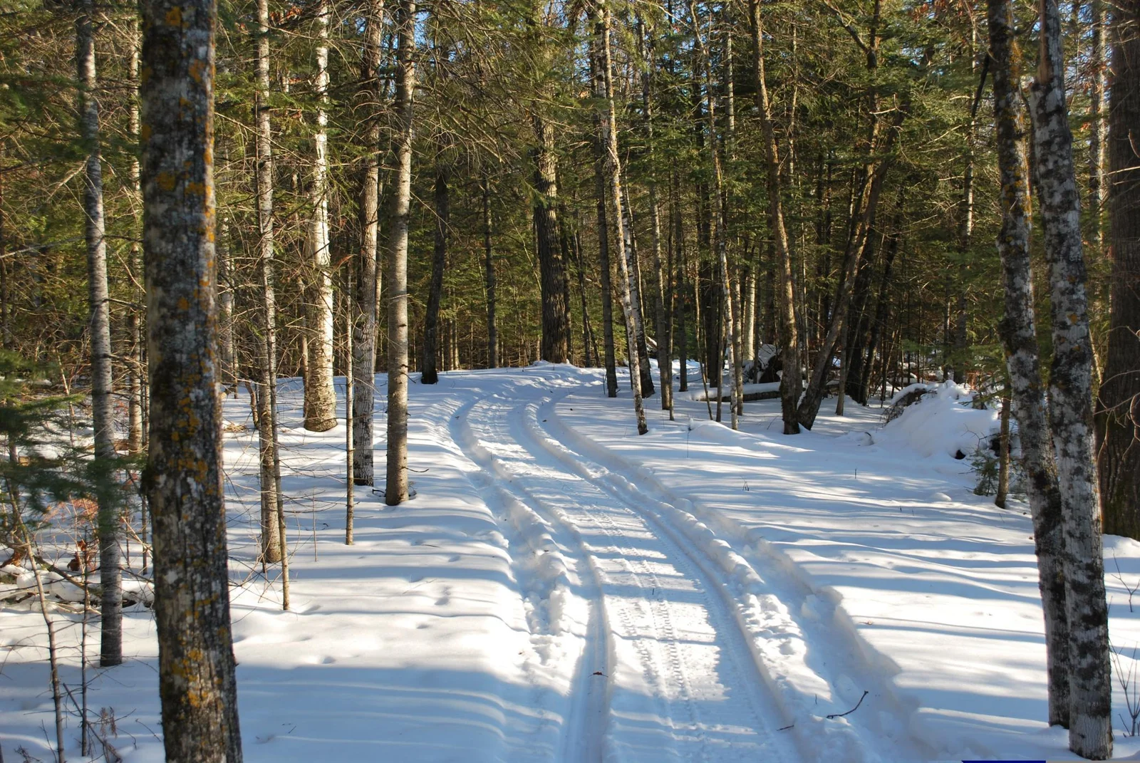 winter trail