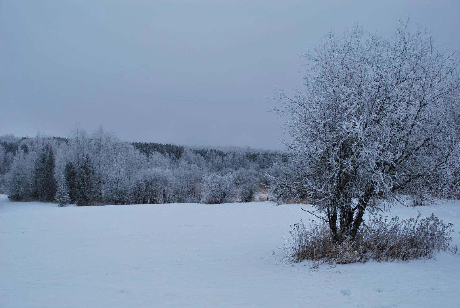 overlook winter