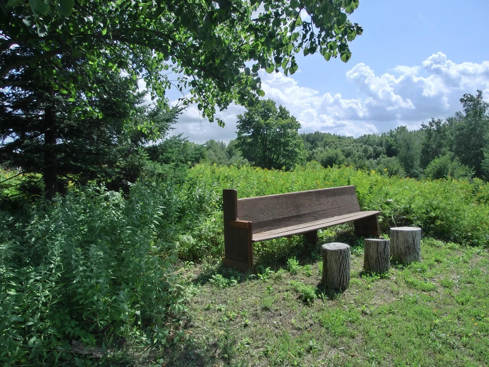 lookout view