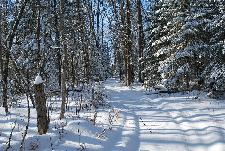 winter trail