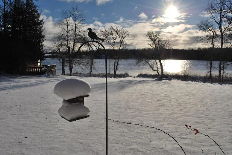 Winter Lake View