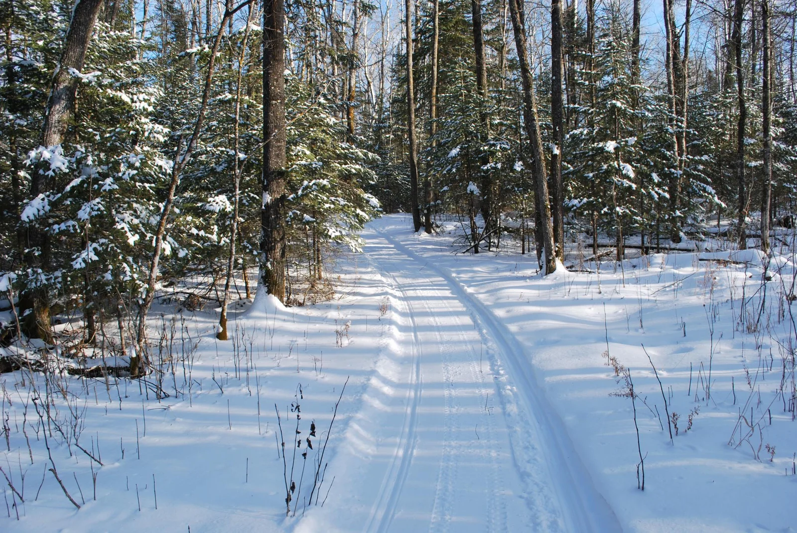 winter trail