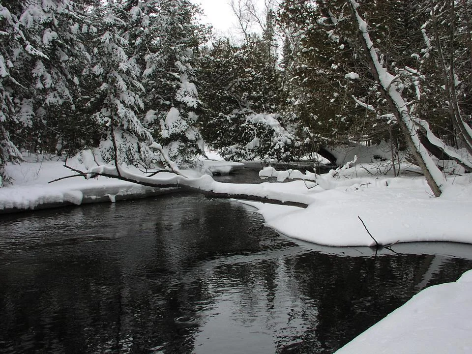 turtle river into lake
