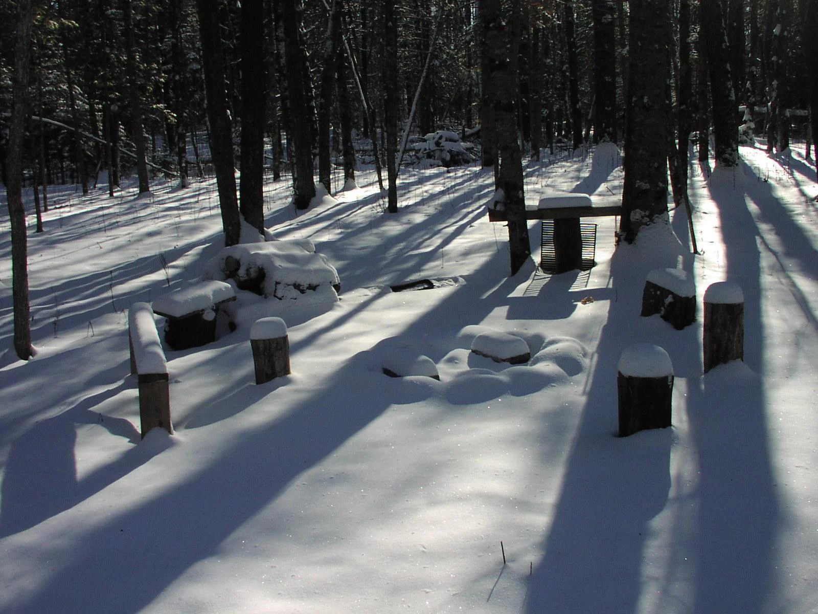 park winter
