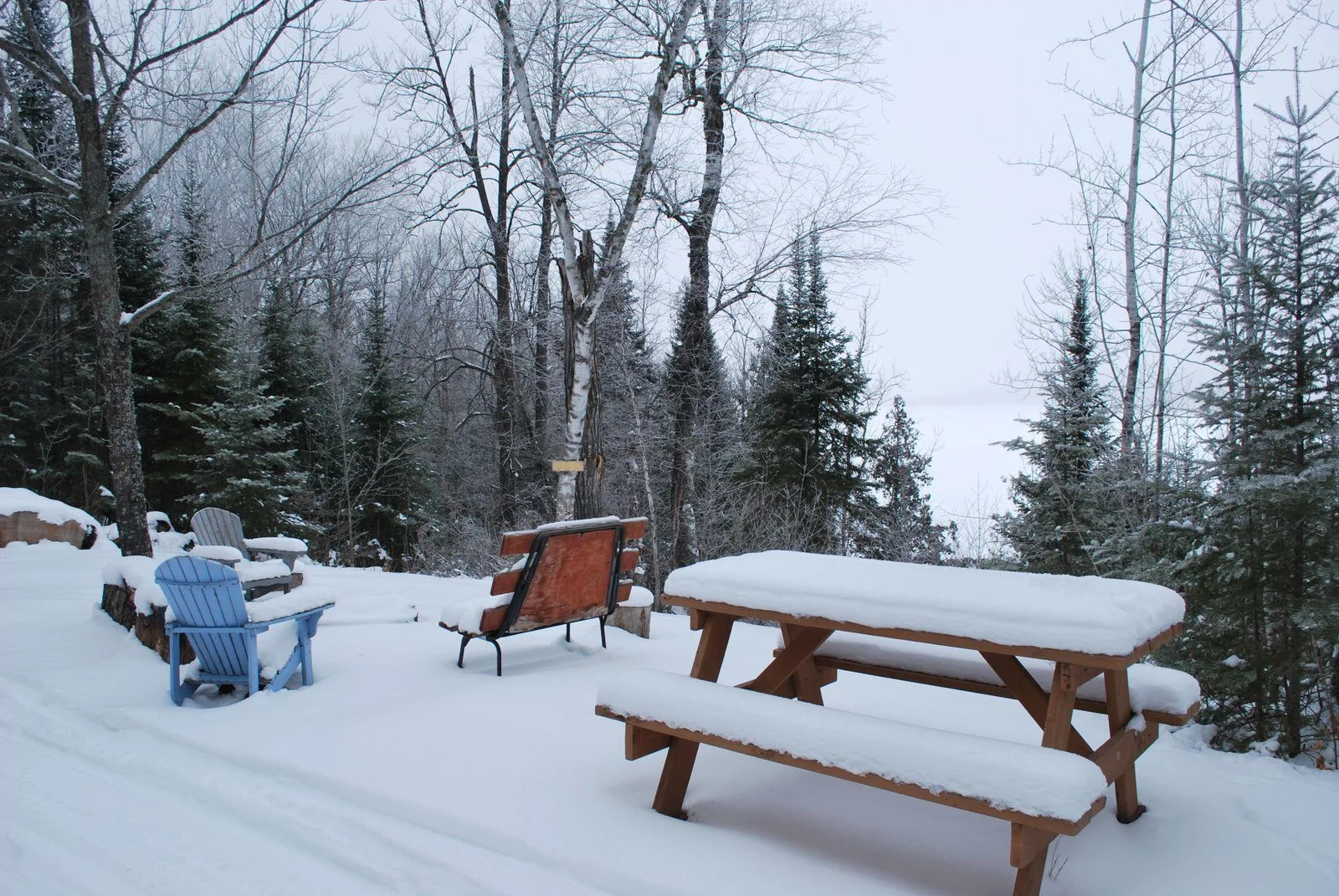 vista winter