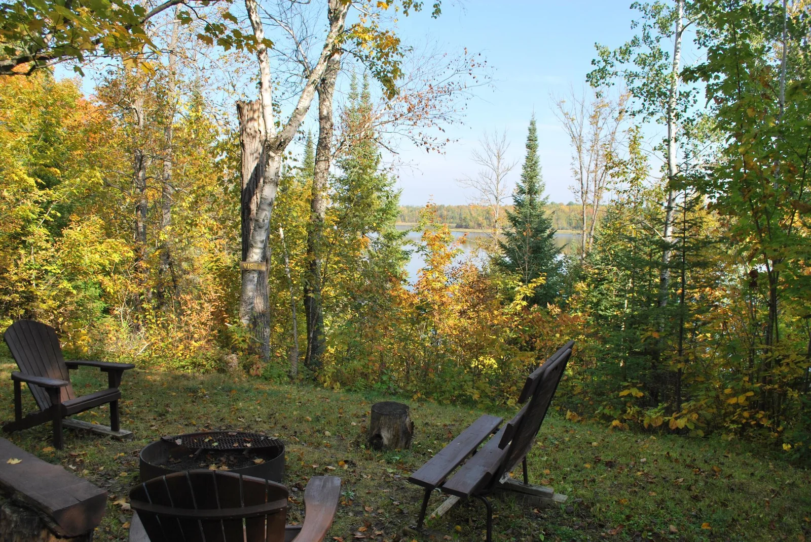 woods overlook