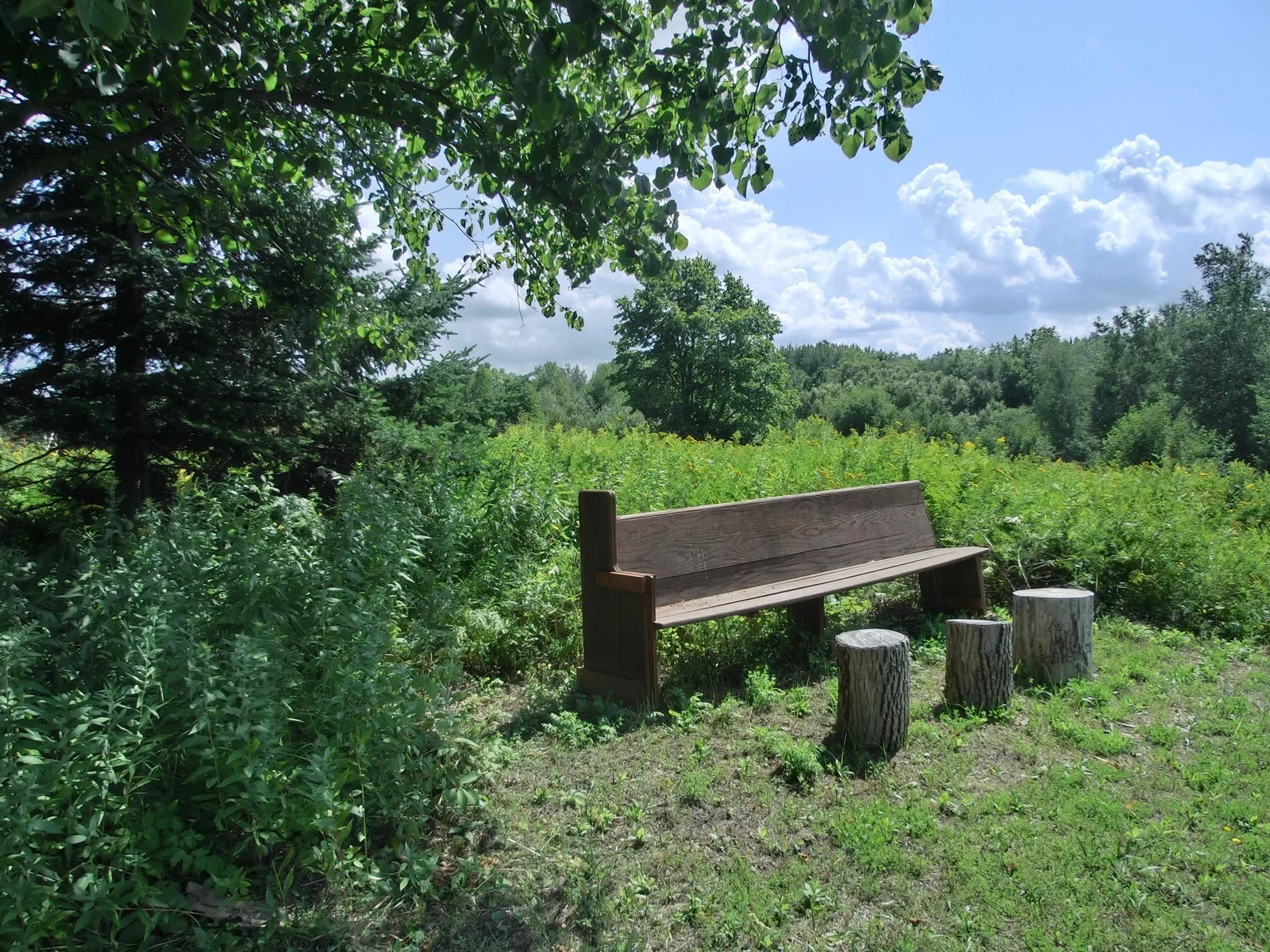 lookout view