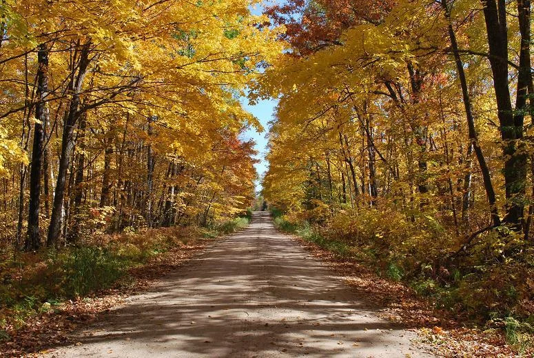 A country road