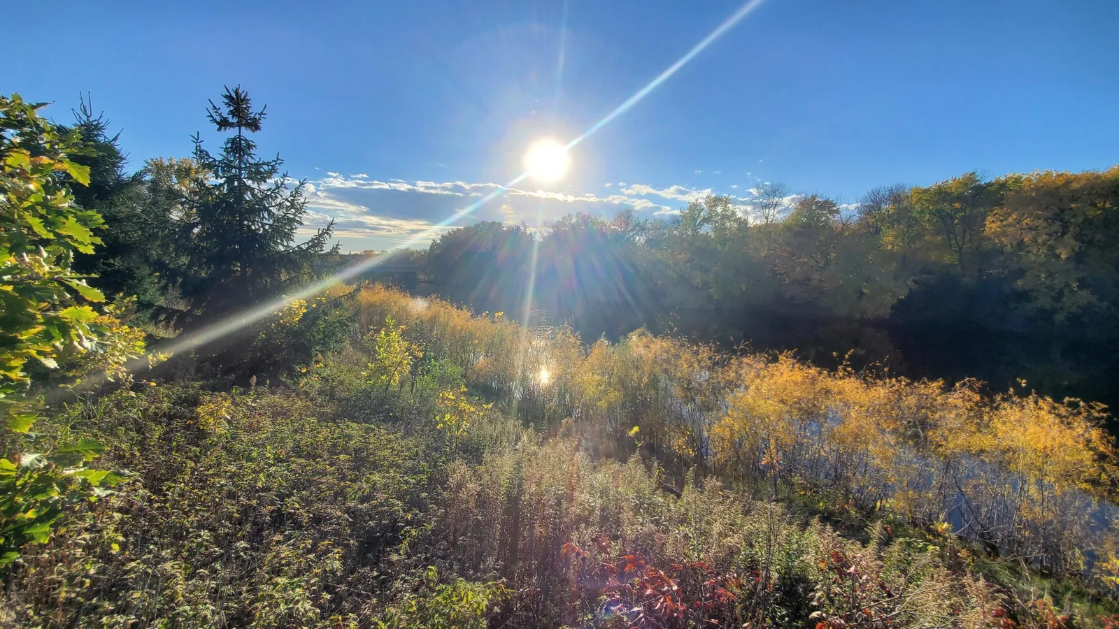 The abundant nature that surrounds this home means you will always have a beautiful place to go for a walk.