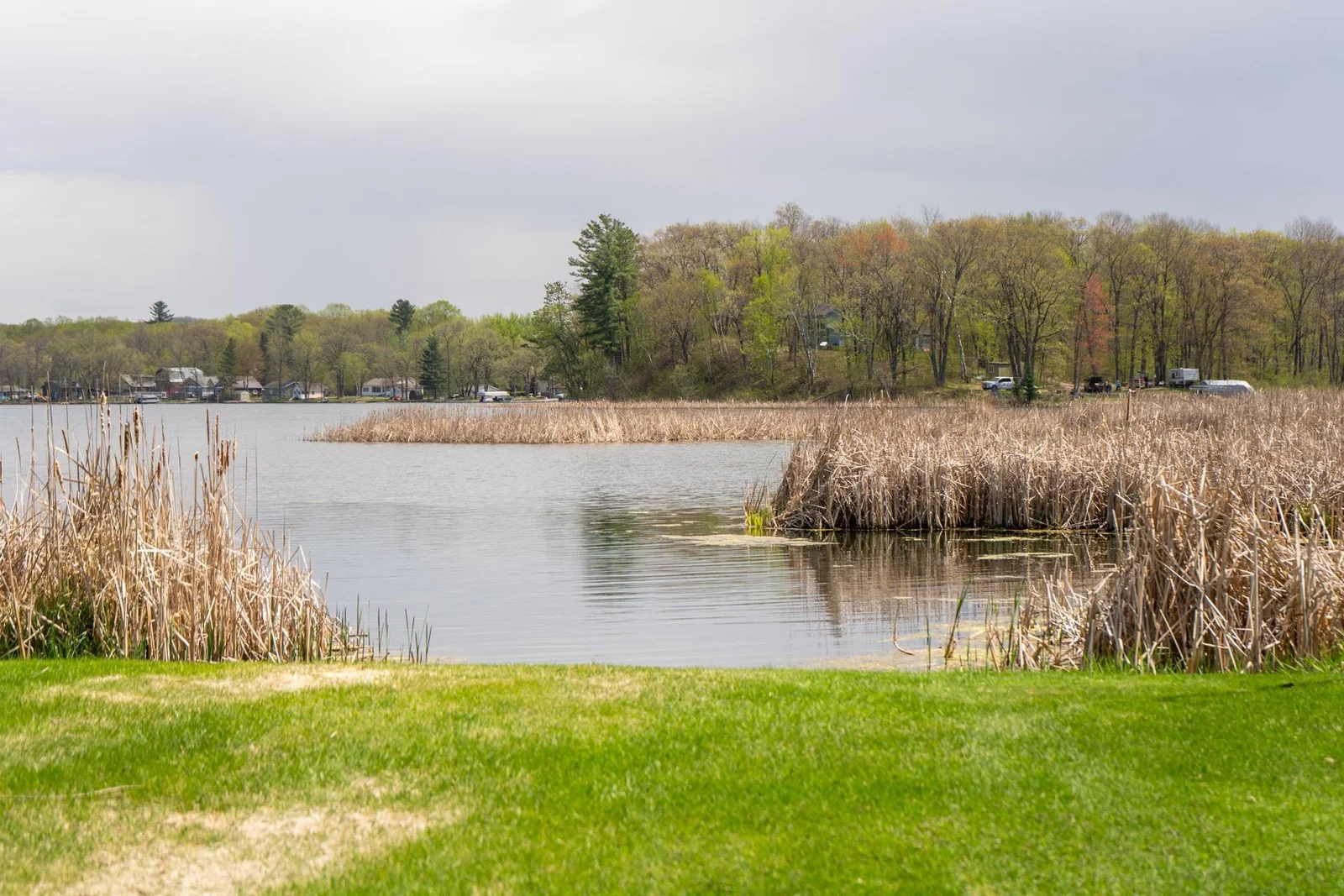 TBD White Pine Circle-10.jpg