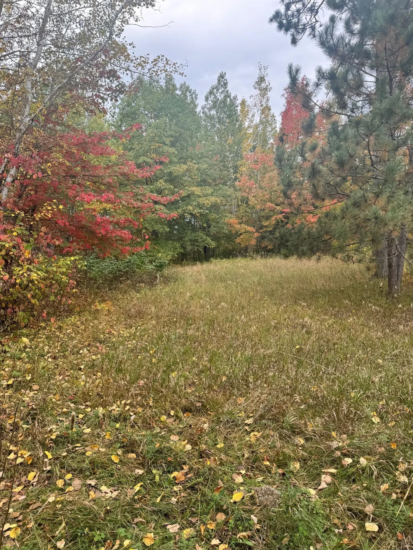Photo 1 of Pond View