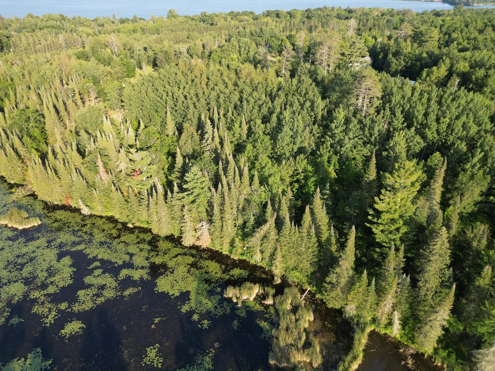 3-dji_fly_20240806_184752_602_1722988332539_photo.jpg