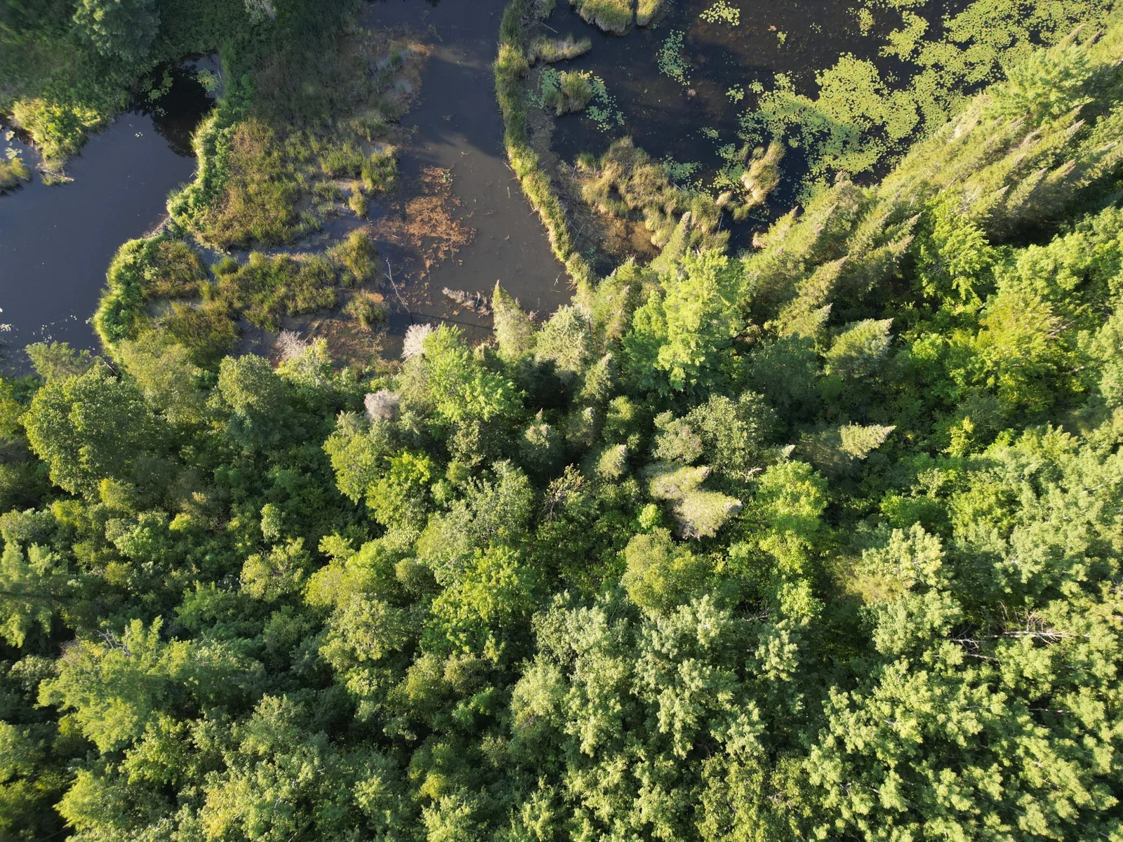 7-dji_fly_20240806_185010_607_1722988324903_photo.jpg