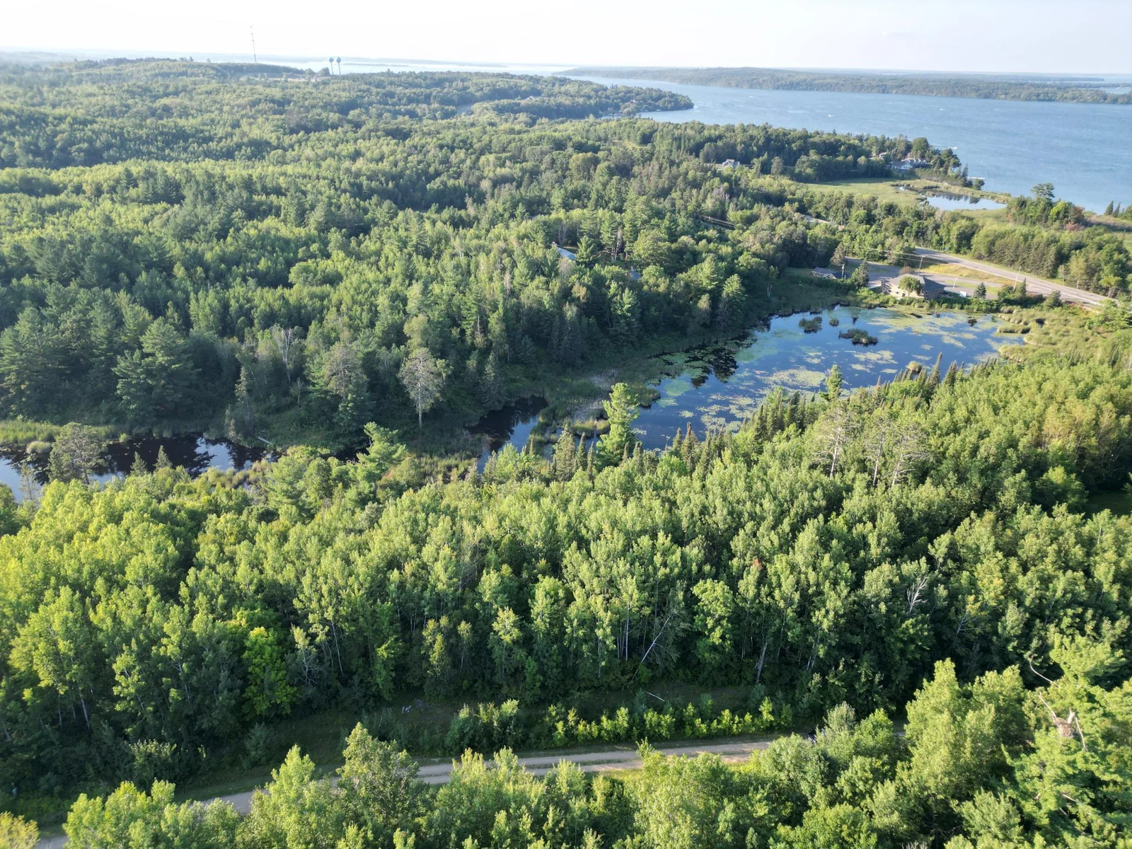 6-dji_fly_20240806_184954_606_1722988326387_photo.jpg