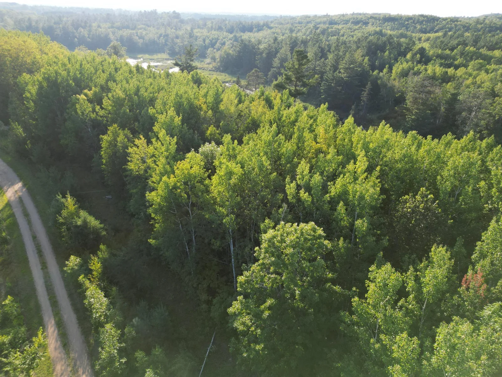 1-dji_fly_20240806_184702_600_1722988335454_photo.jpg