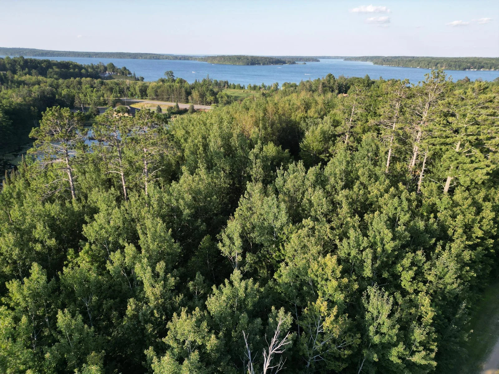 2-dji_fly_20240806_184720_601_1722988334206_photo.jpg