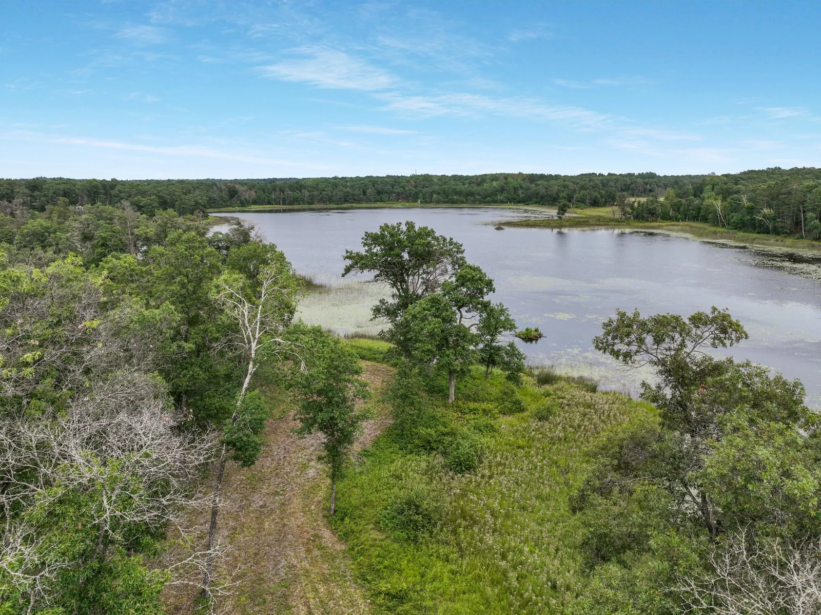 005_dji_0071_496.jpg