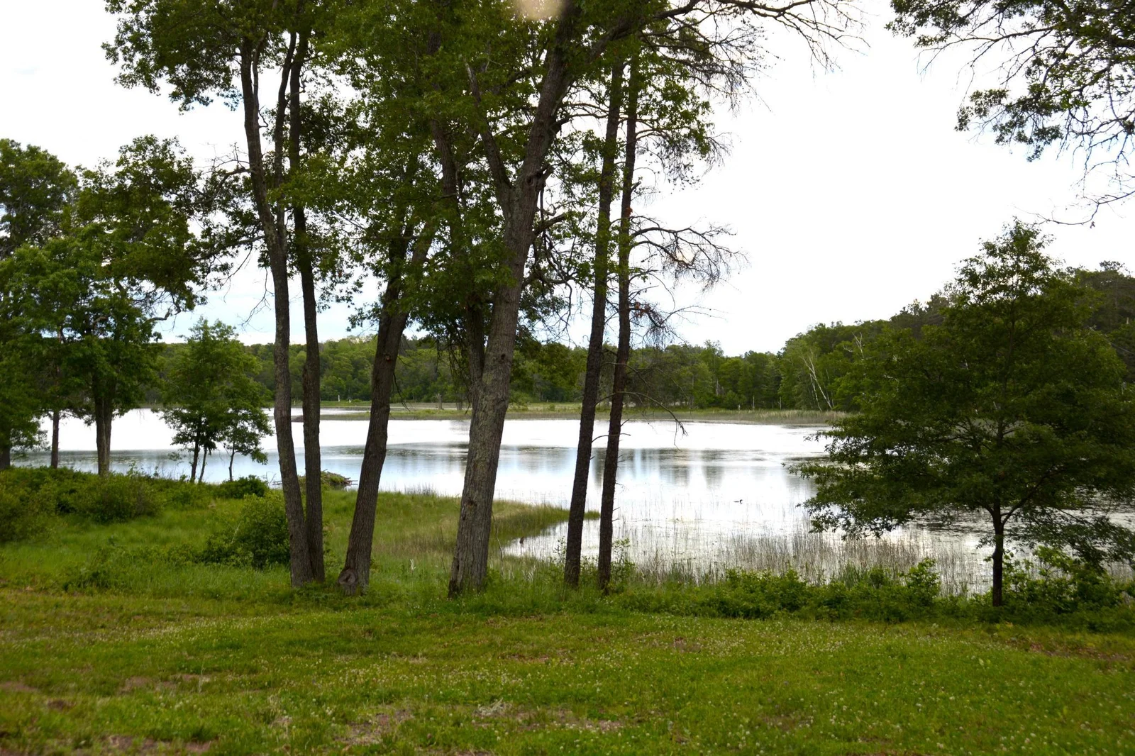 DSC_0084.JPG