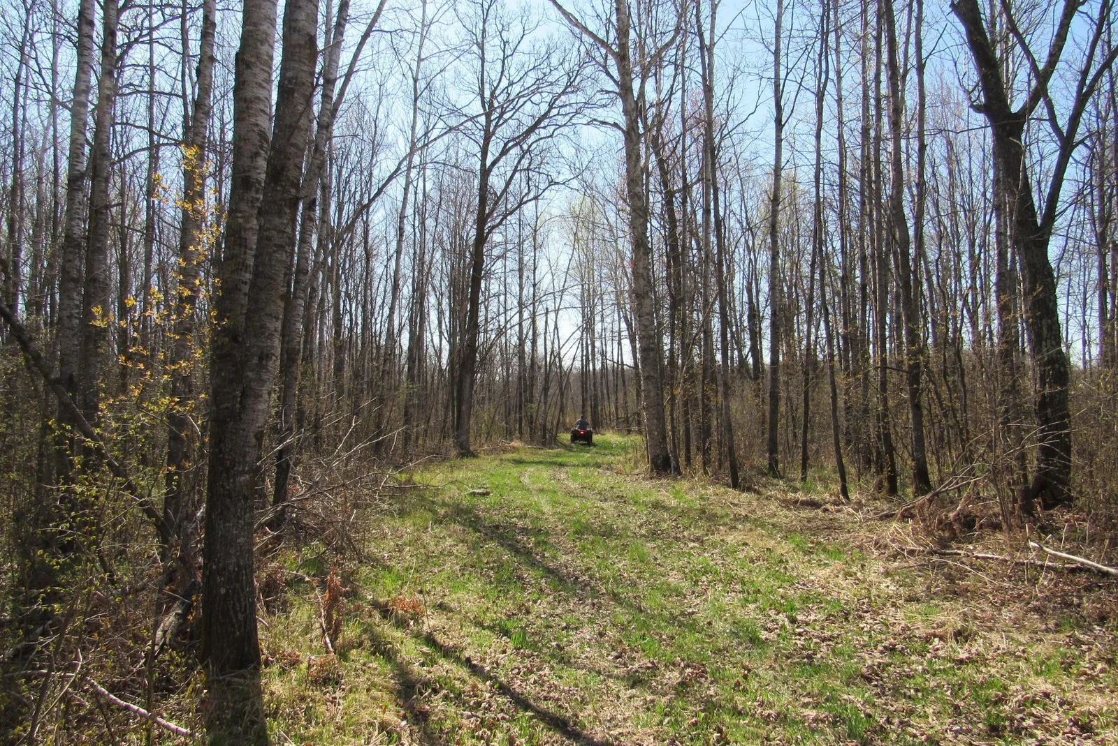Thumbnail photo 37