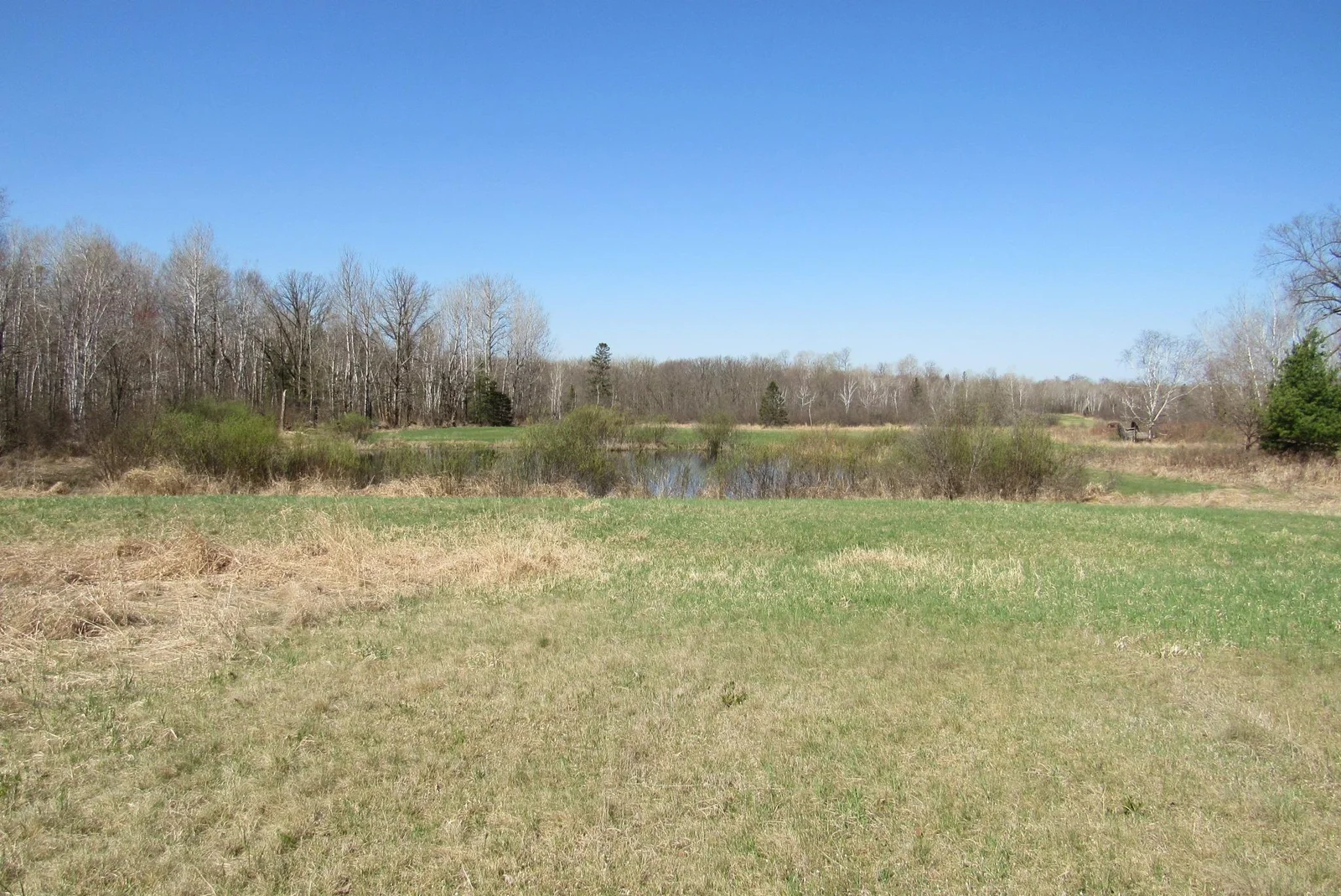 Thumbnail photo 29