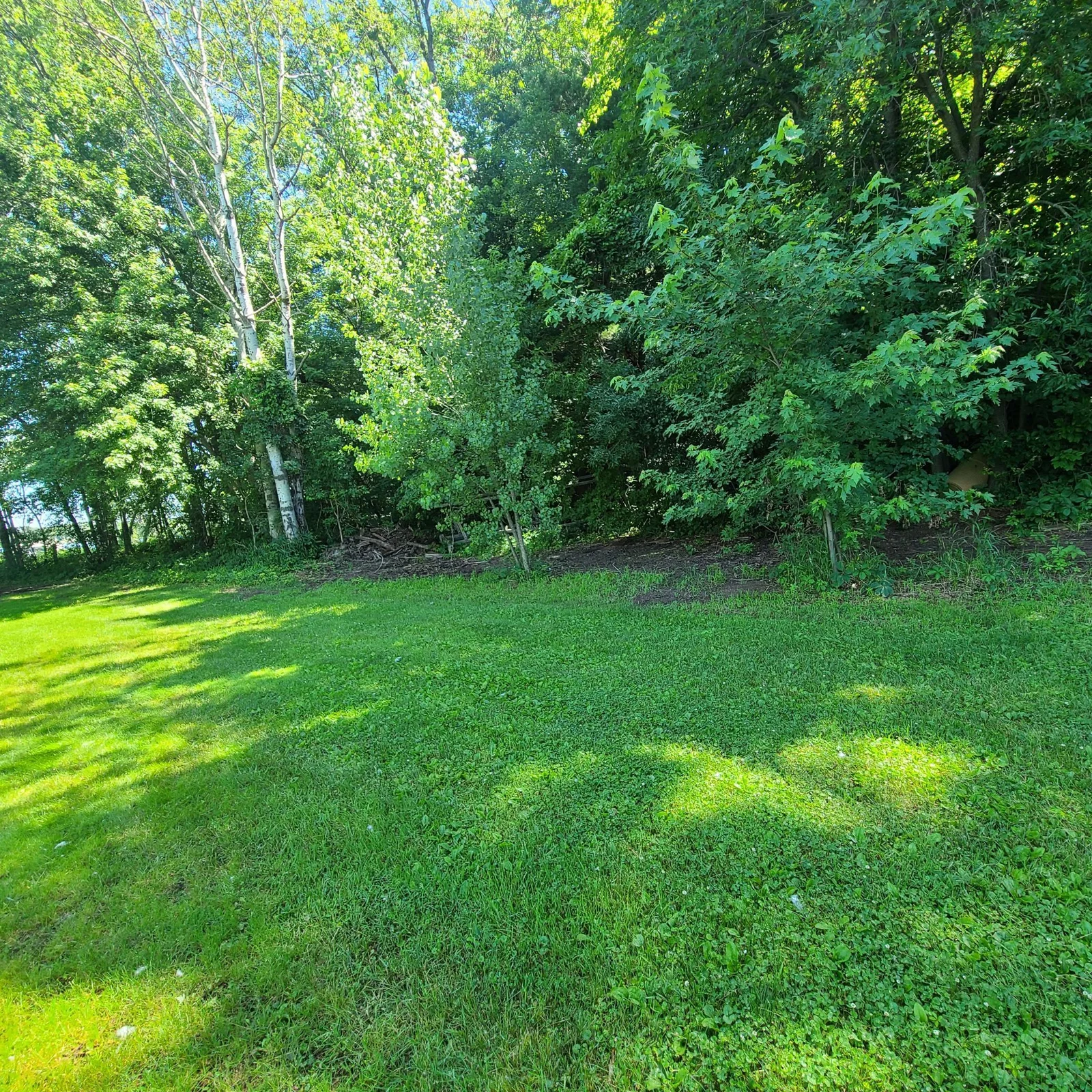 Lower part of lot on the lakeshore