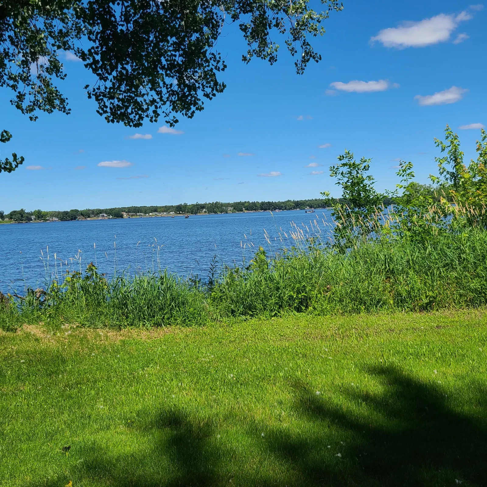 View of Pokegama Lake