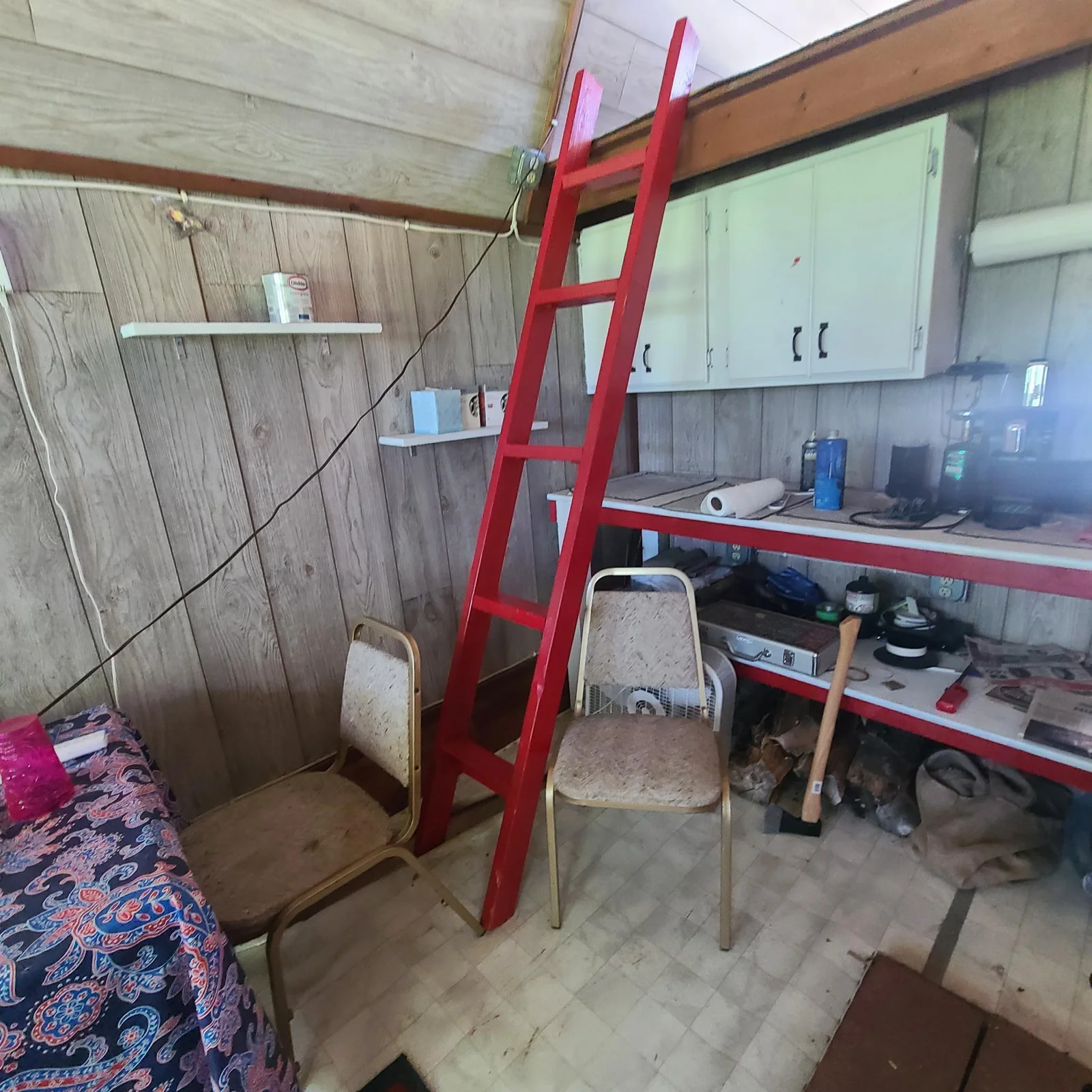 Ladder to Loft