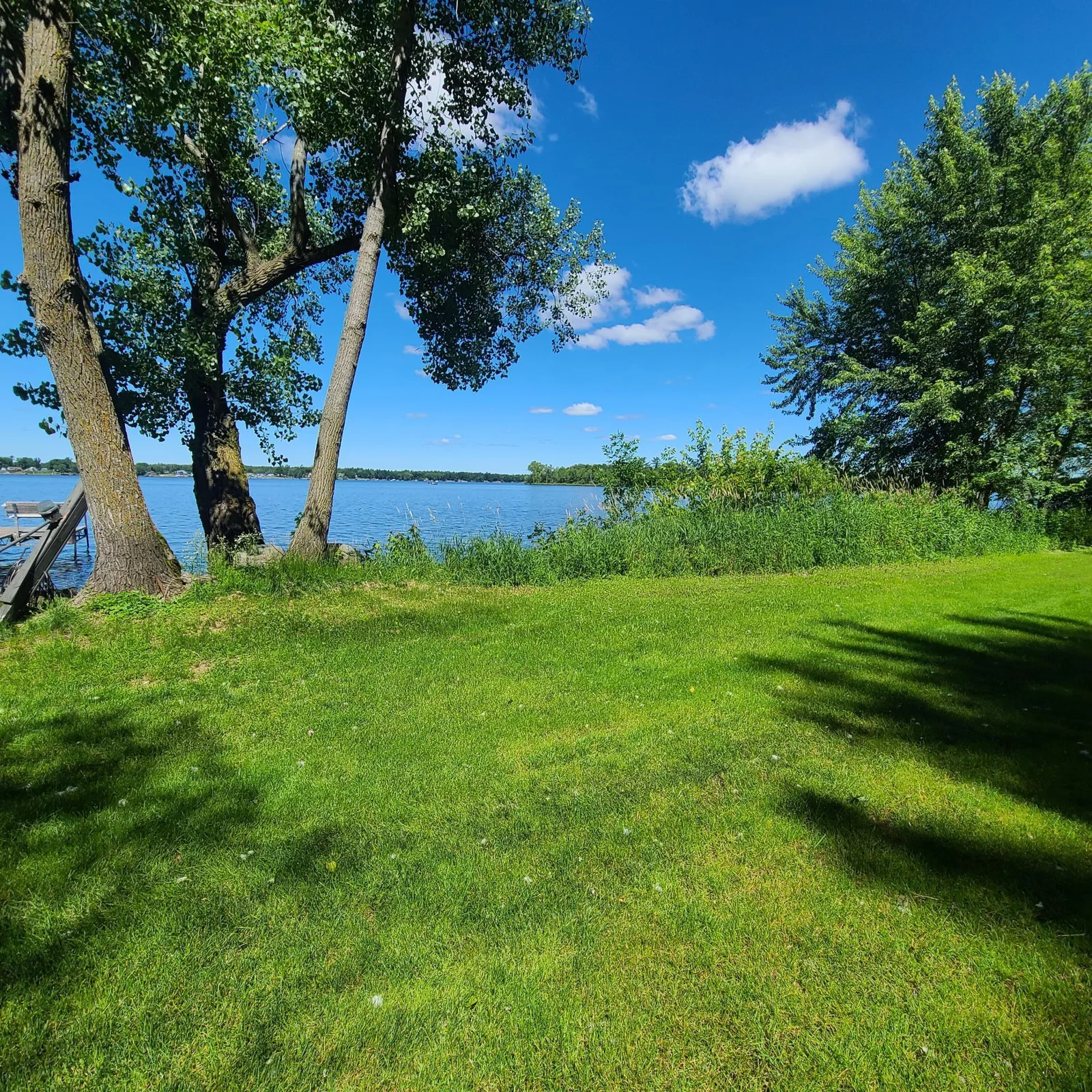 View from lakeshore
