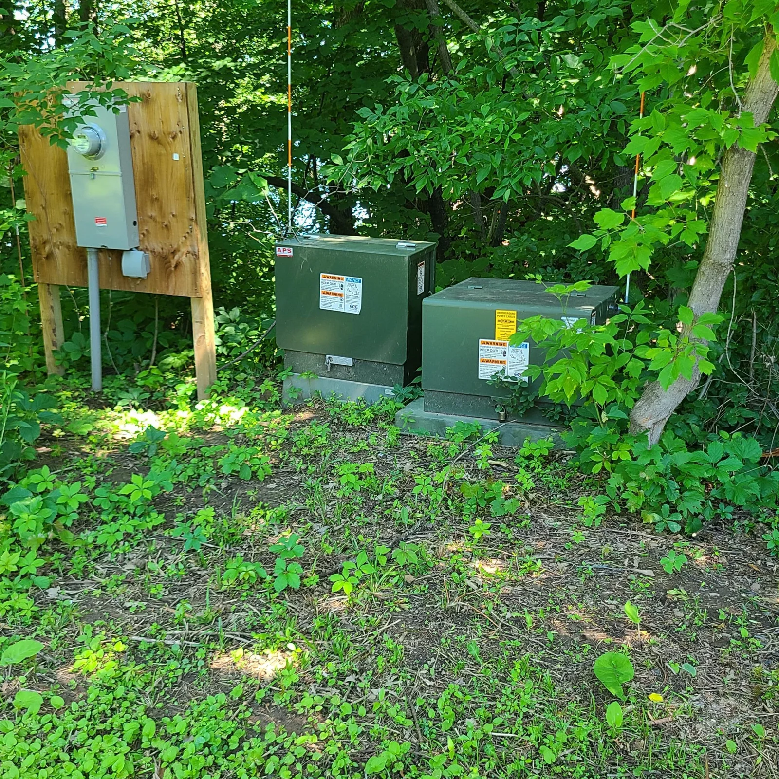 Electric Service