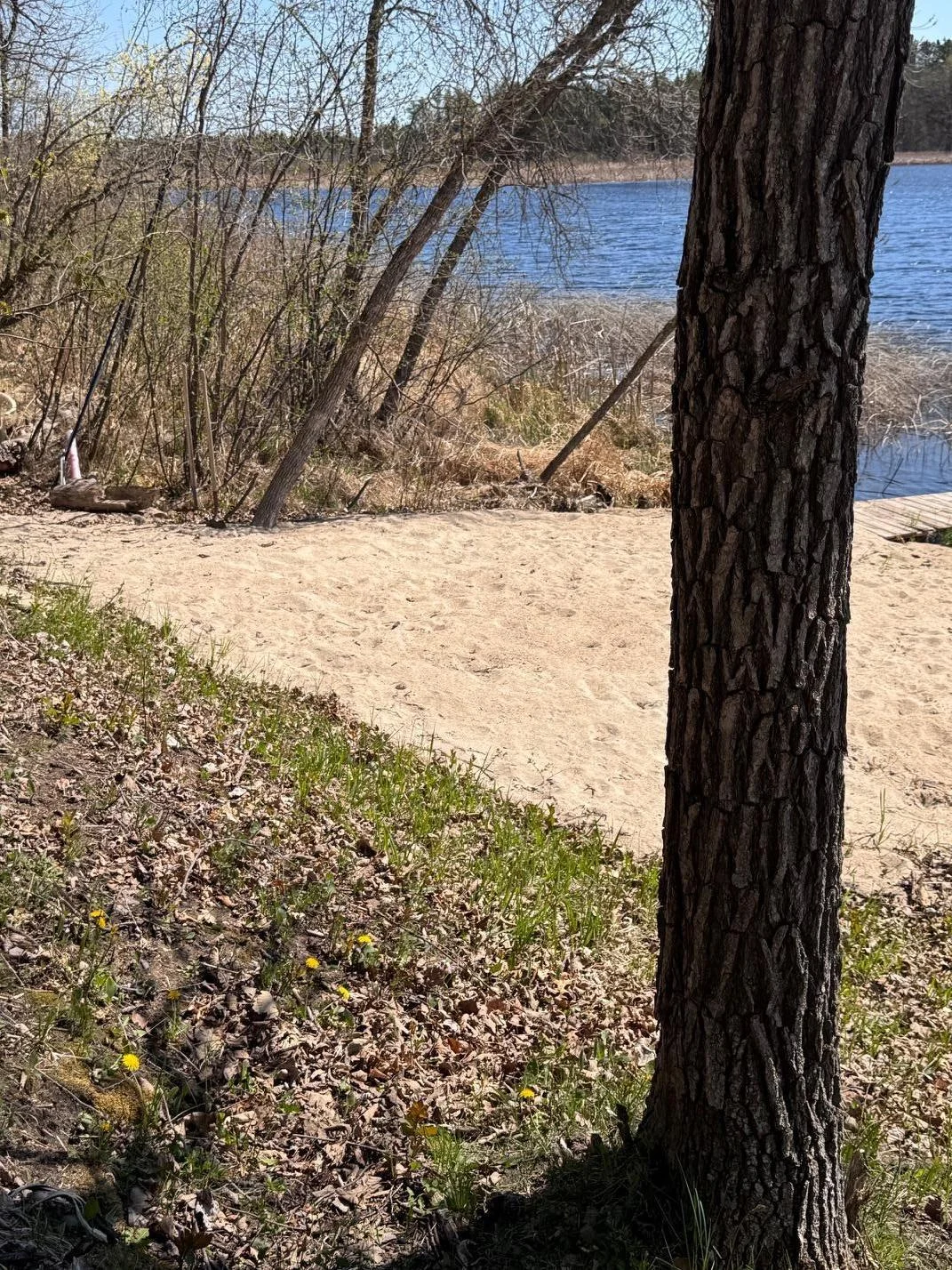 Beach Area
