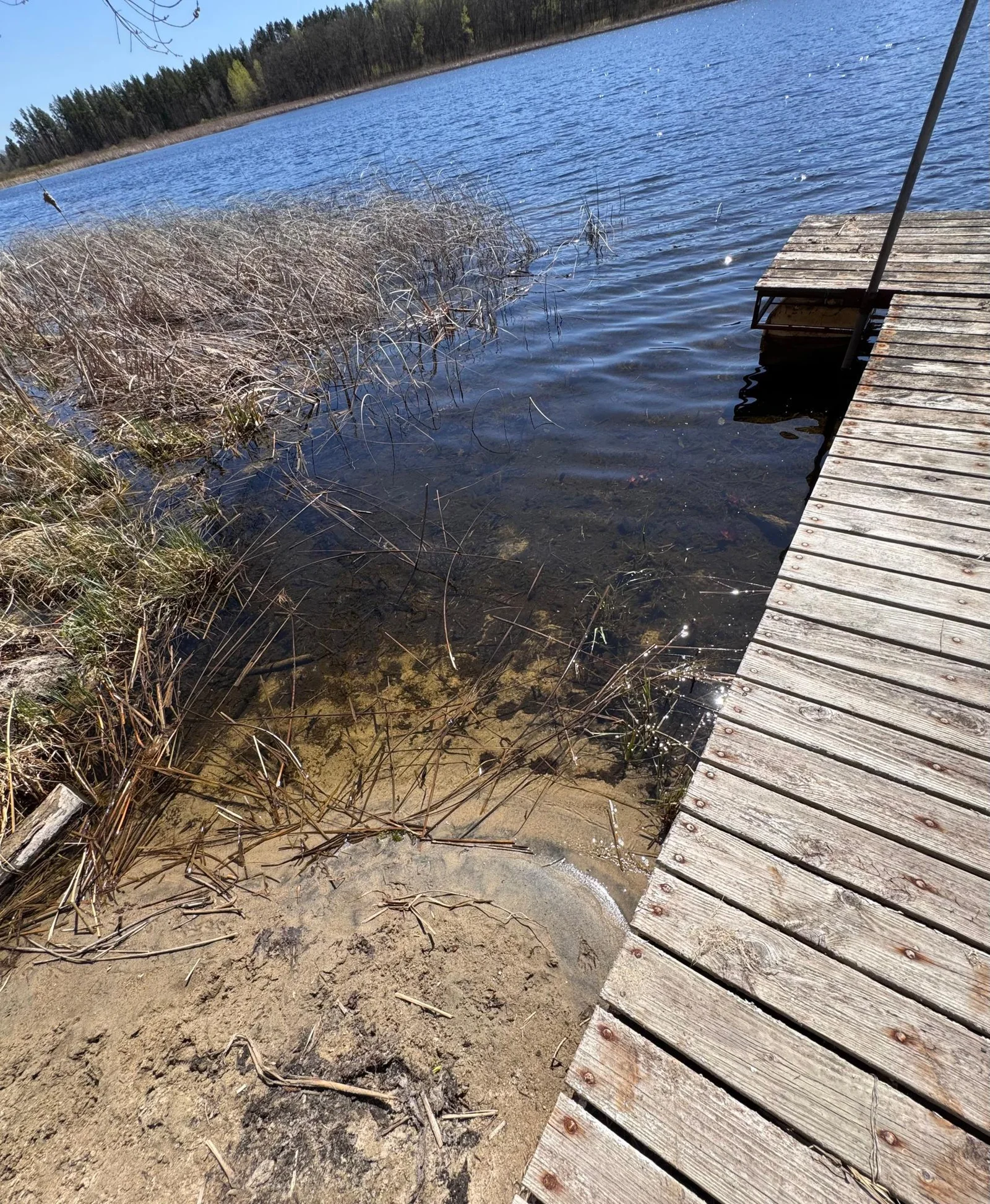 Waters Edge