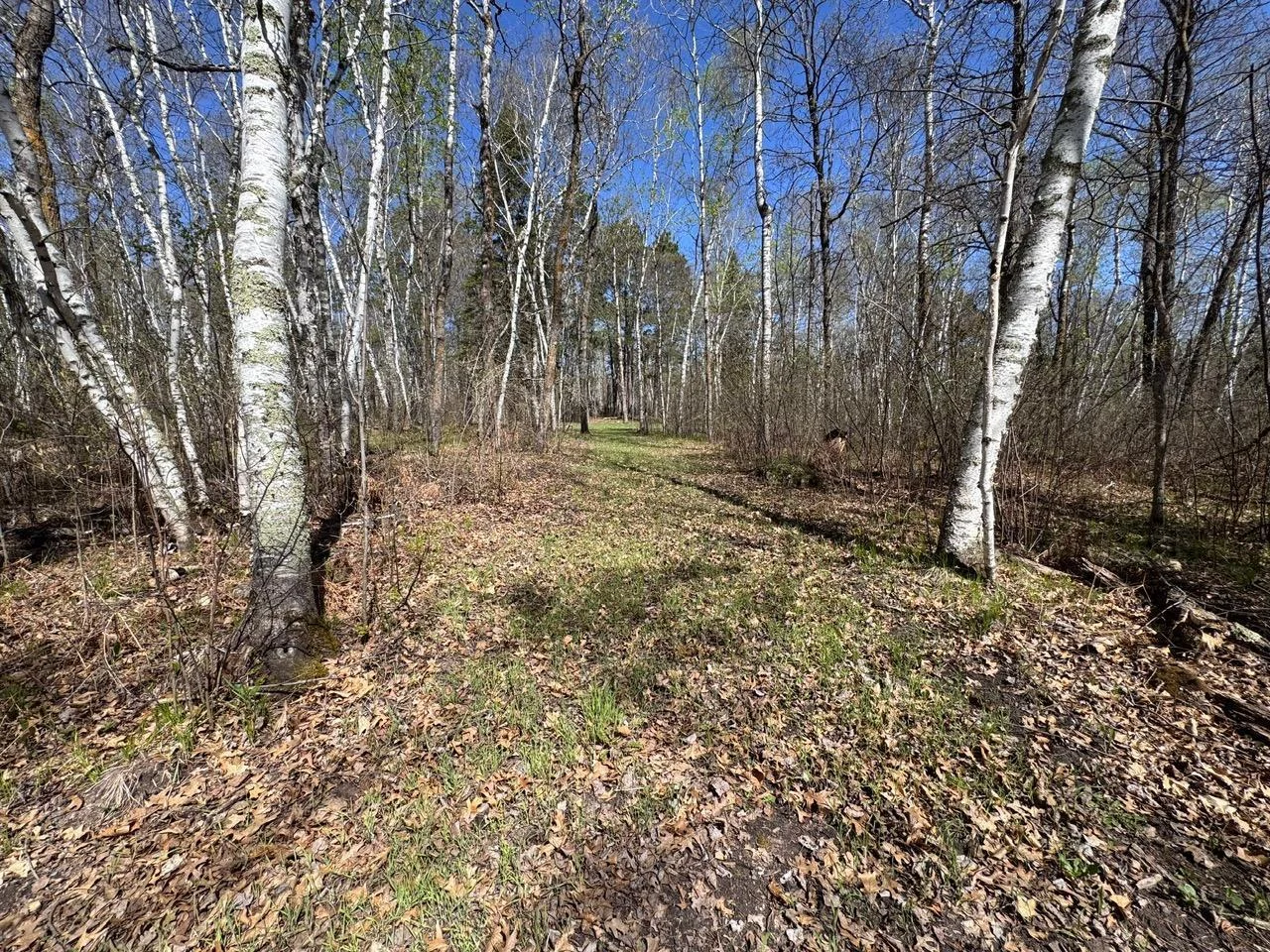 Path to North Side of Road