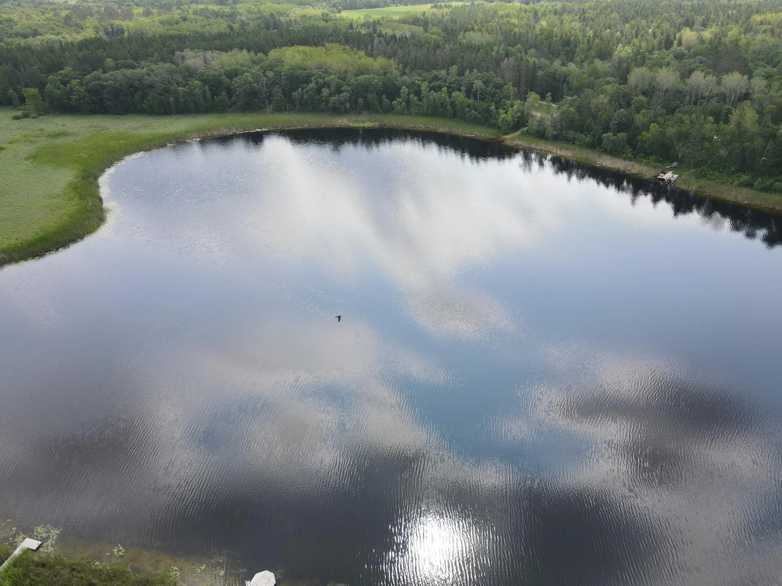 DJI_0448.JPG
