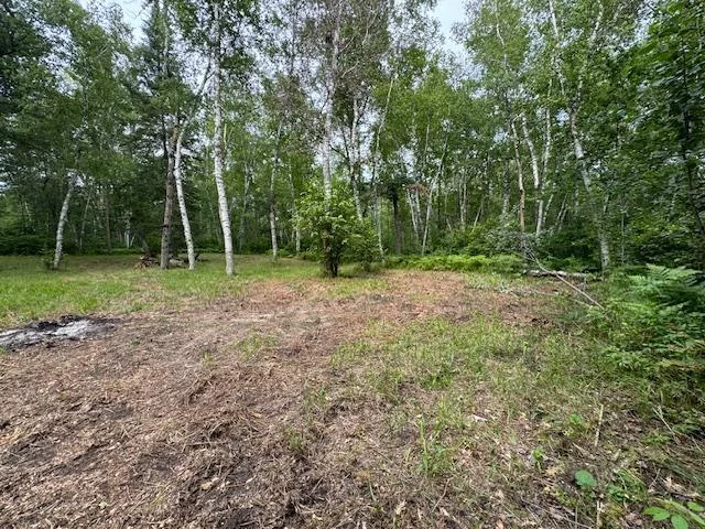 Clearing on North Side of Road