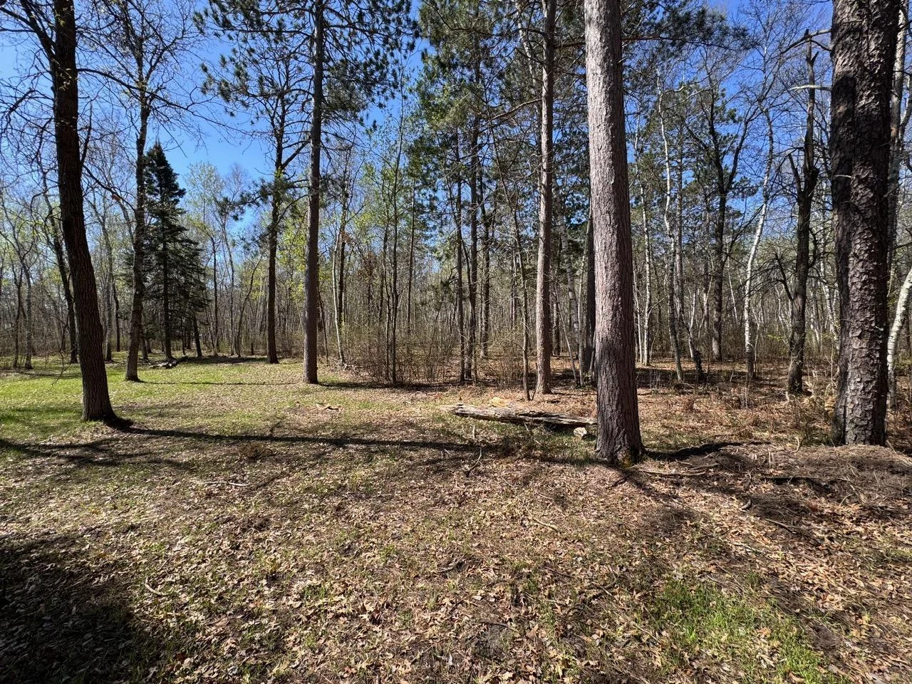Clearing/Food Plots On North Side