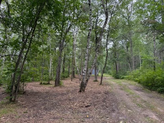 Driveway towards Lake